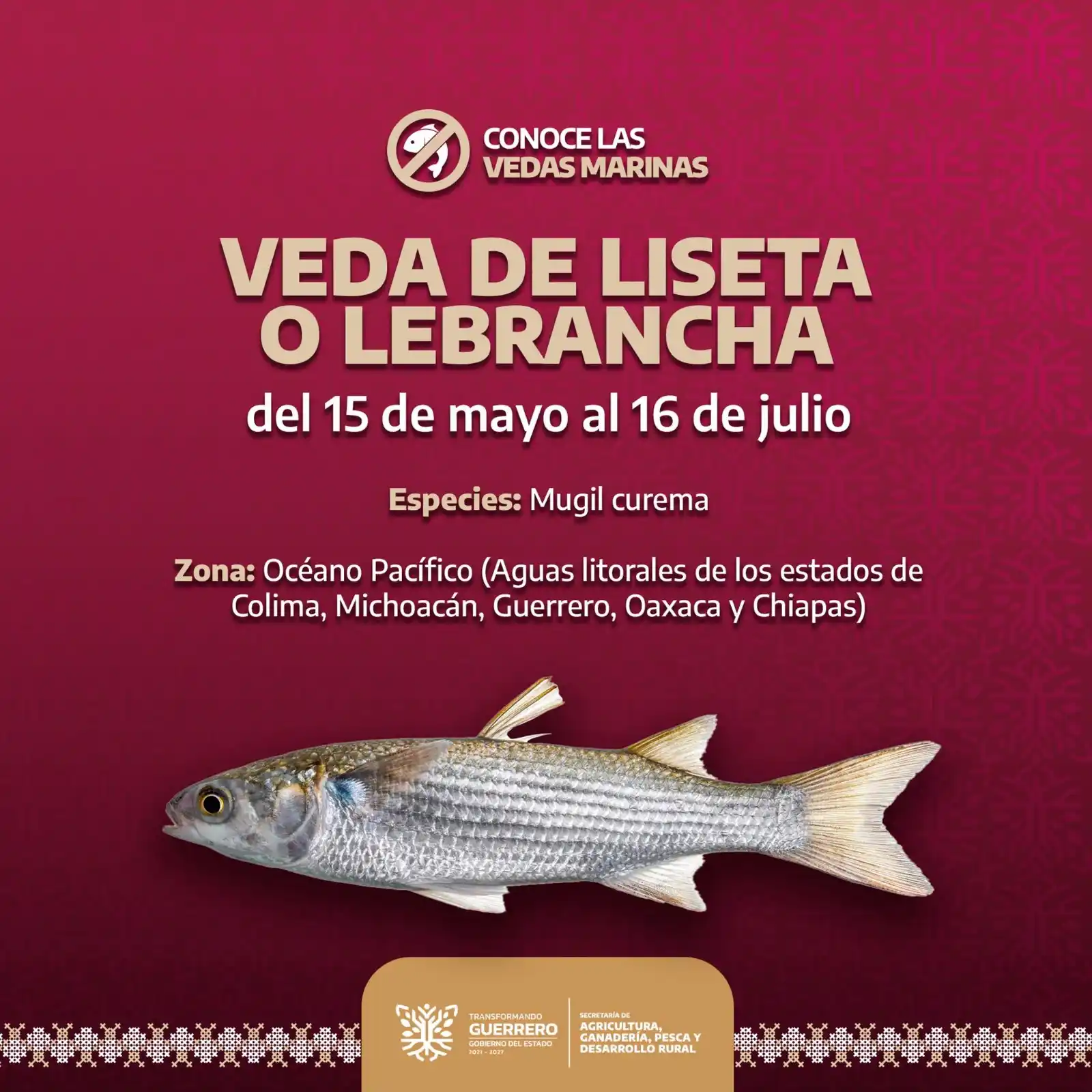 Image from SAGADEGRO: ⚠️ ¡Atención pescadores! ⚠️ A partir del 1 de mayo y hasta el 31 de ju...