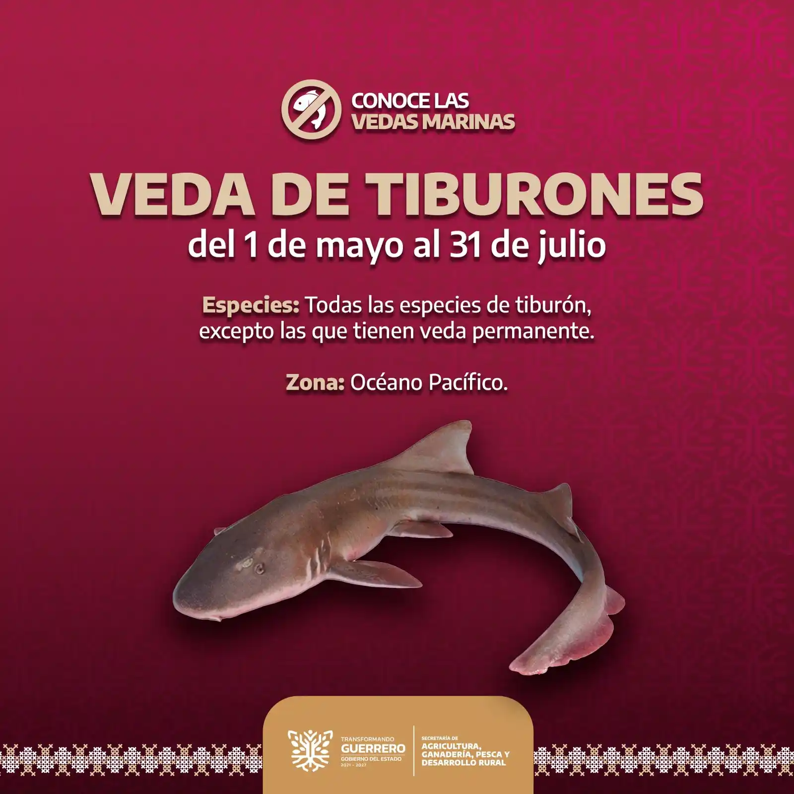 Image from SAGADEGRO: ⚠️ ¡Atención pescadores! ⚠️ A partir del 1 de mayo y hasta el 31 de ju...