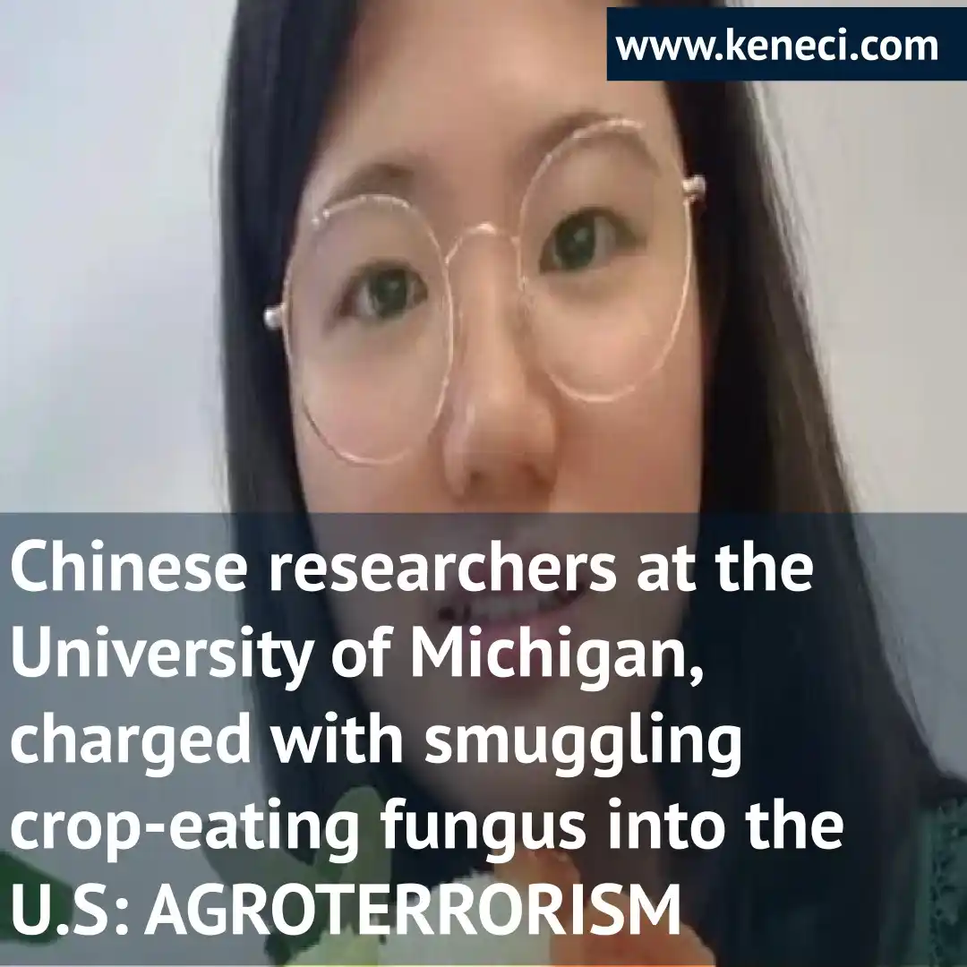 Image from Keneci News: CHINESE COUPLE ARRESTED FOR SMUGGLING CROP-EATING FUNGUS INTO U.S. Yu...