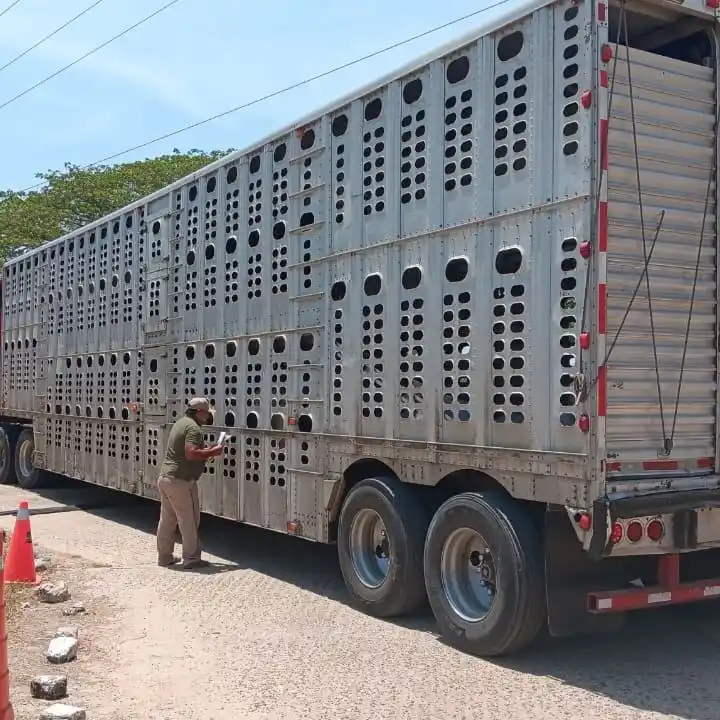 Image from SAGADEGRO: El objetivo principal de Sagadegro es mantener controlada la sanidad e...