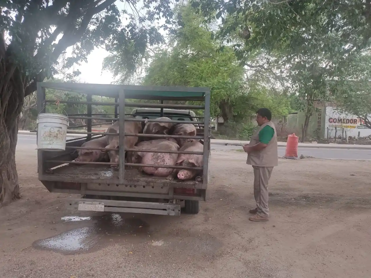 Image from SAGADEGRO: En Sagadegro seguimos trabajando con uno de los objetivos principales ...