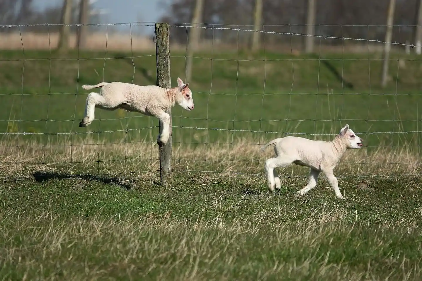 Image from Omroep Zeeland: Goedemorgen! Rechtszaak Paula Schot, Jan Paul van Hecke in Arnemuiden ...