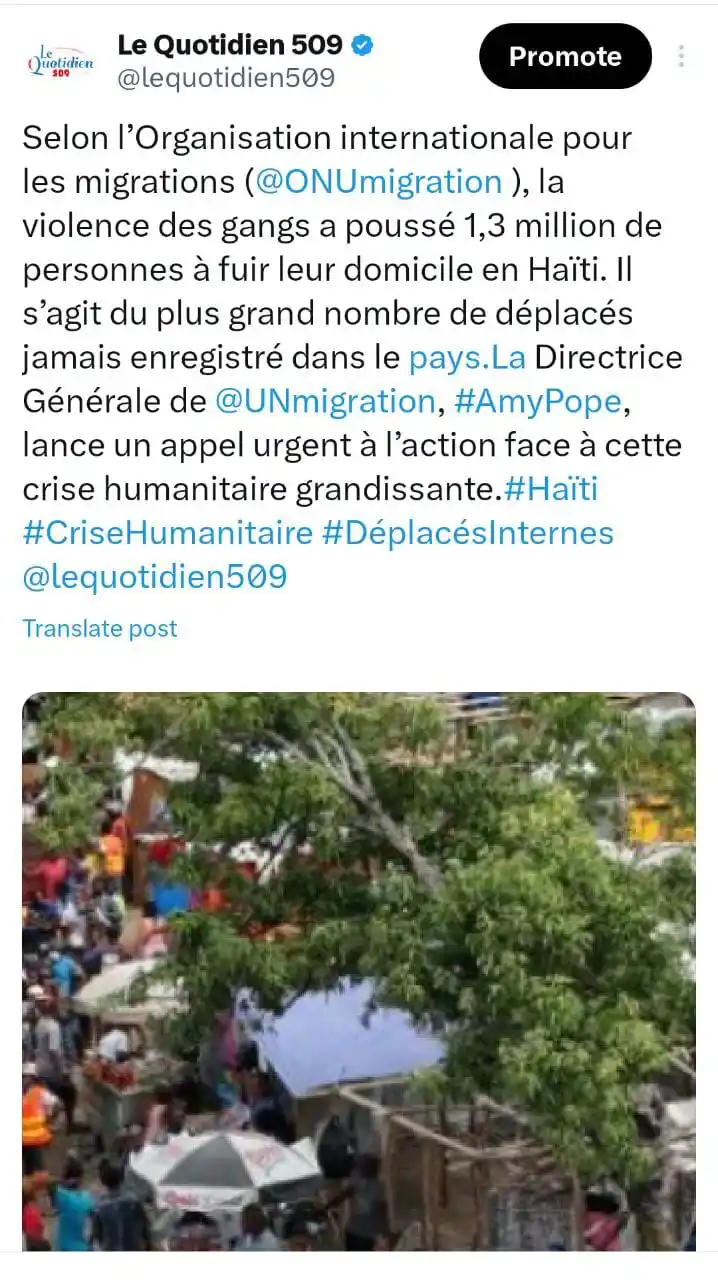 Image from Le Quotidien 509: ➕➖🇭🇹🟰➗ _L'organisation internationale pour les migrations donne un ...