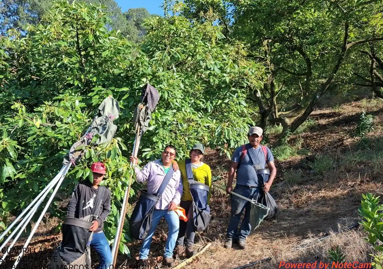 Image from SAGADEGRO: La Secretaría de Agricultura, Ganadería, Pesca y Desarrollo Rural (SAG...