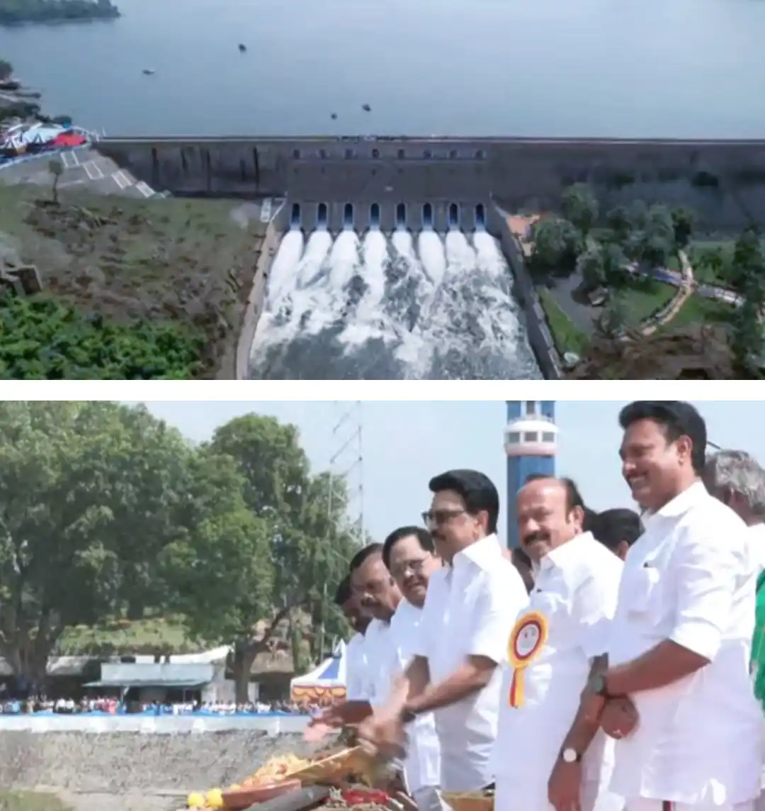 Image from Aanthai Reporter News Channel: 🦉தமிழகத்தின் நெற்களஞ்சியமாக கருதப்படும் டெல்டா மாவட்டங்களில் குறுவை ...