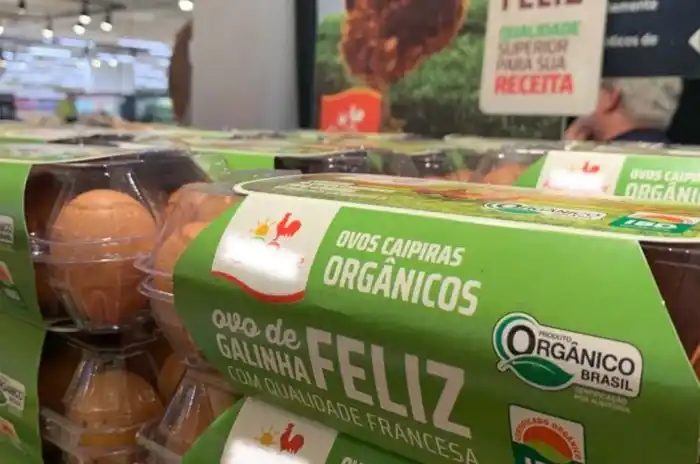 Image from Jornal UFG: 🍳 *Você pagaria mais por ovos de "galinhas felizes"?* _Pesquisa da U...