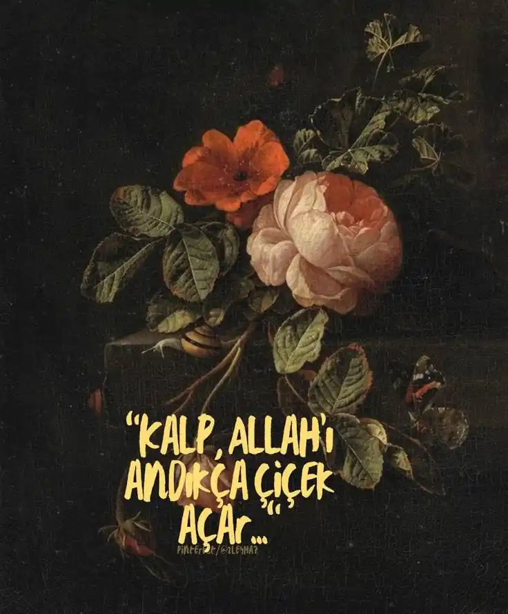 Kesitler.. 📚 post