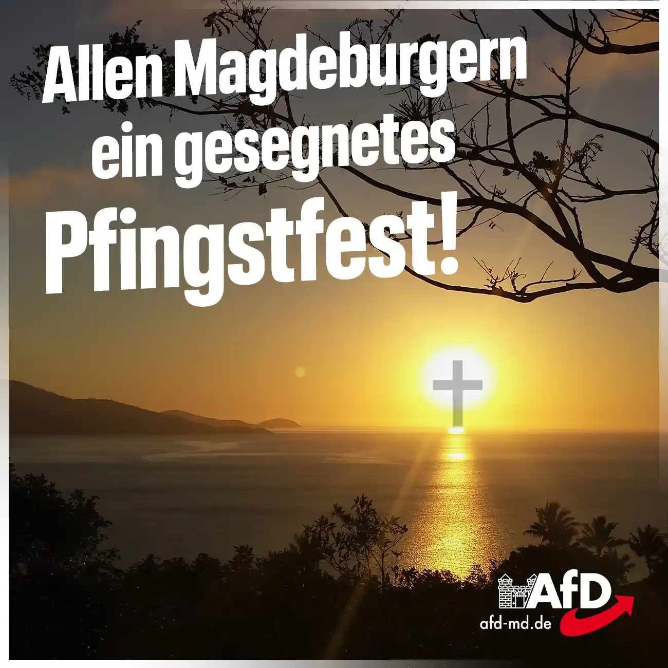 Image from AfD Magdeburg💙: 🕊️🔔 Allen Magdeburgern ein gesegnetes Pfingstfest! Schon im Mittela...