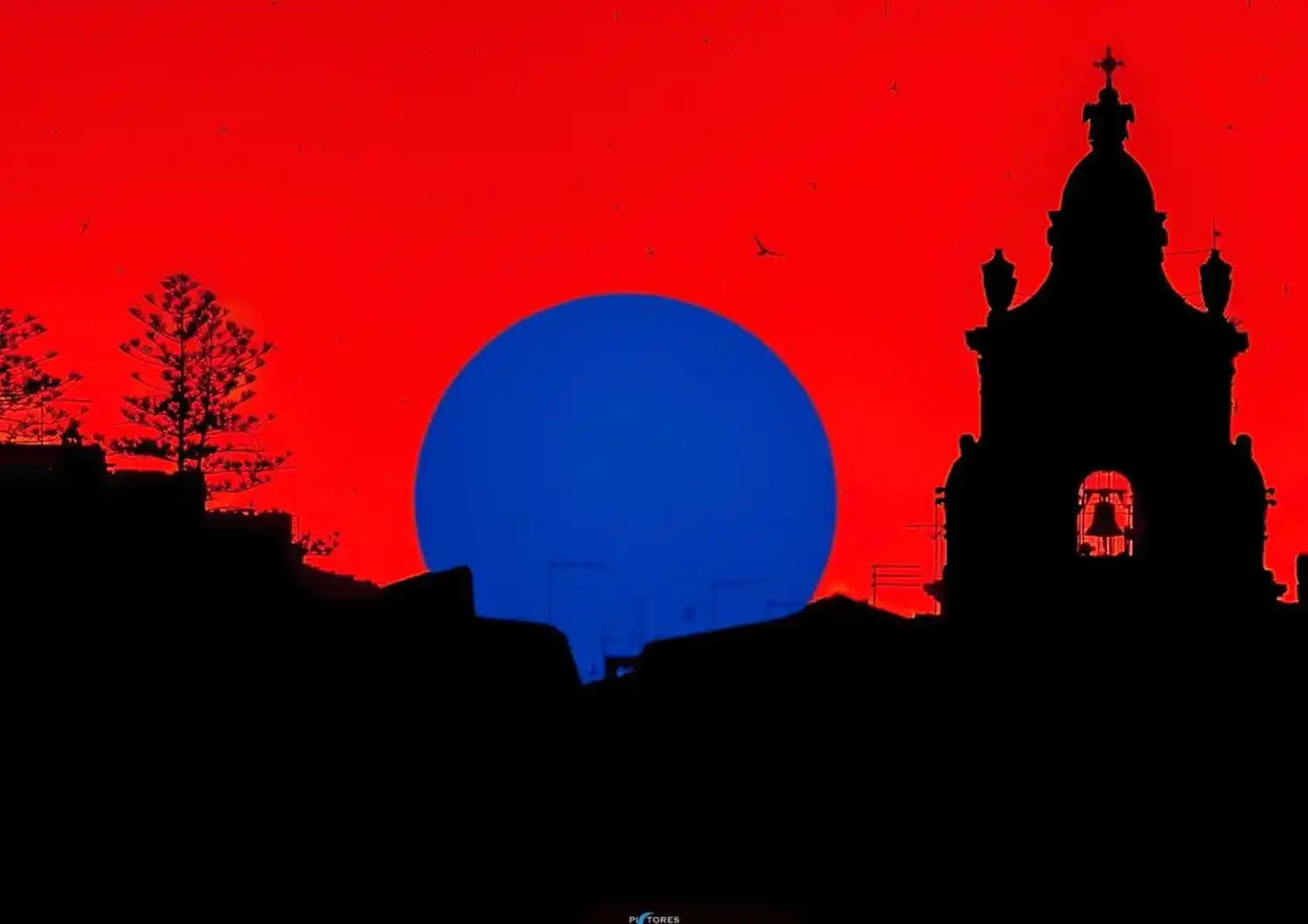 Image from Agi - Agenzia Italia: 📸 *Fissa le antenne al centro del sole per 30 secondi. Chiudi gli occ...
