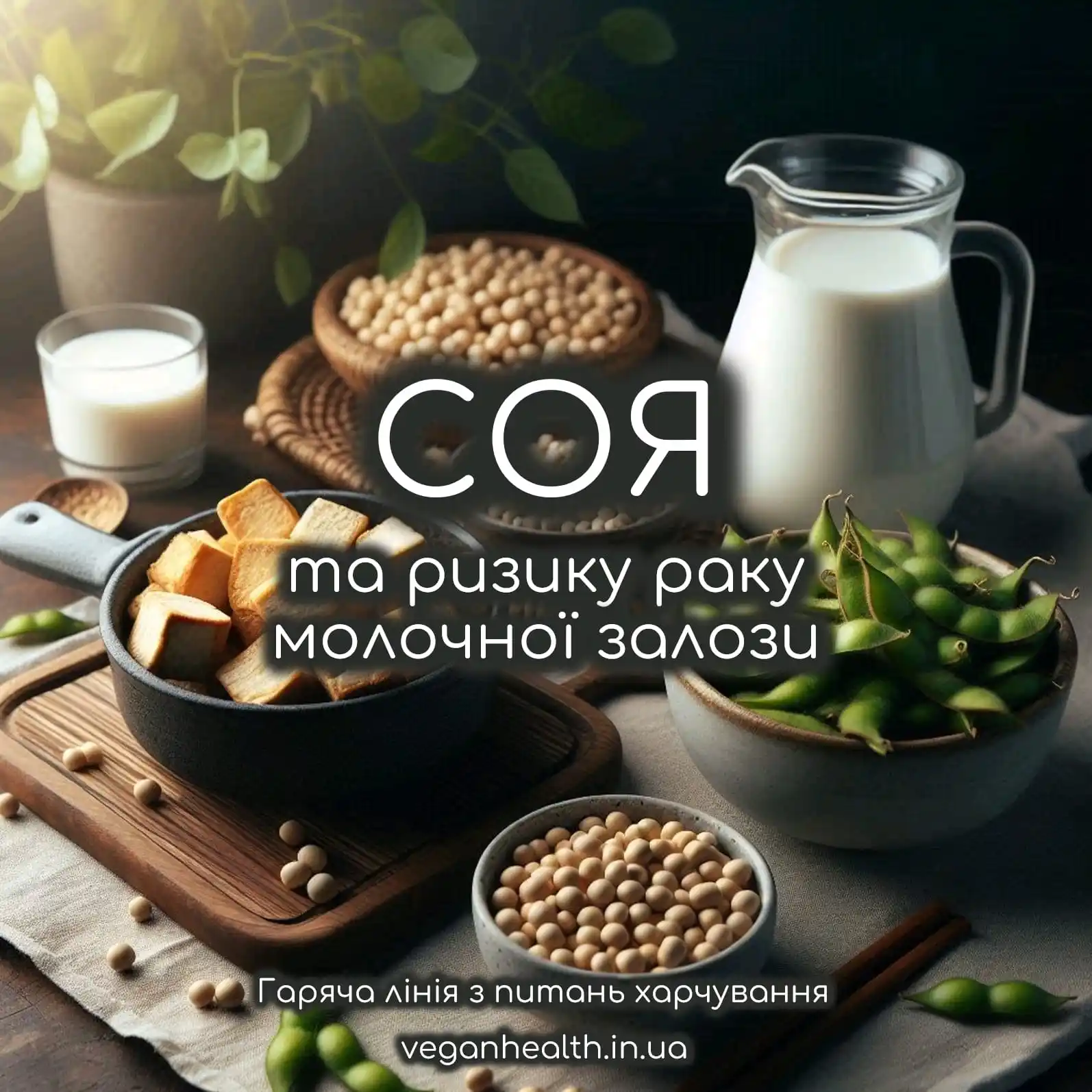 Веганство та здоров'я (veganhealth.in.ua) post