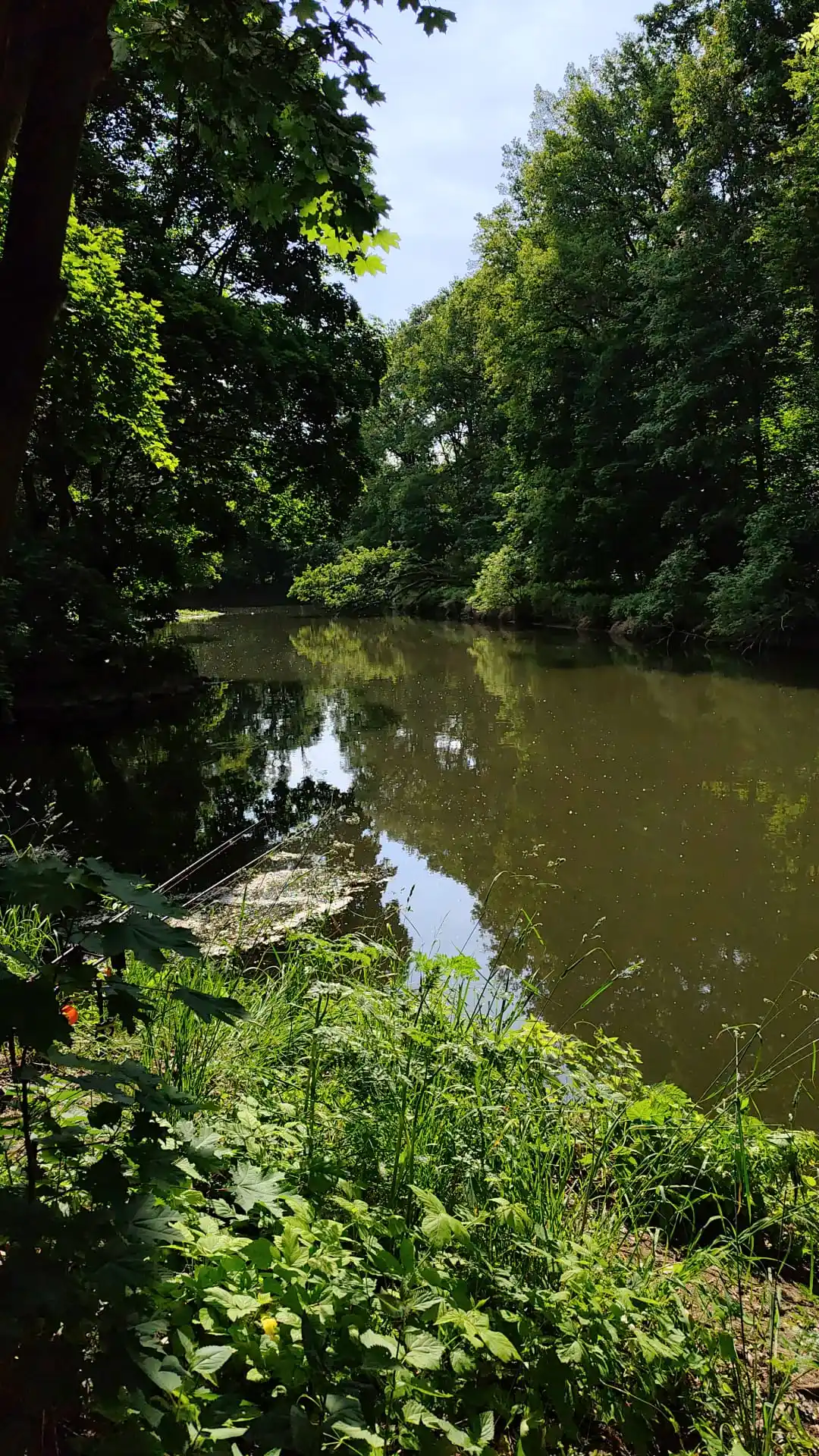 Eastside Carphunter post