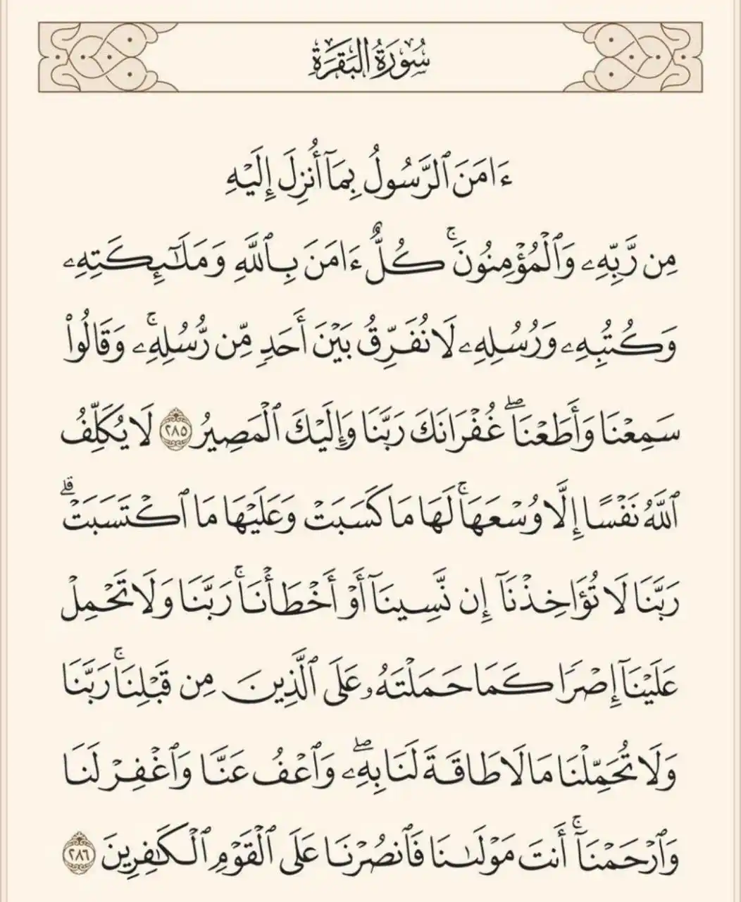 Image from Daily Quran | Hadith: قال صلى الله عليه وسلم:  *مَن قَرَأَ بالآيَتَيْنِ مِن آخِرِ سُورَةِ ال...