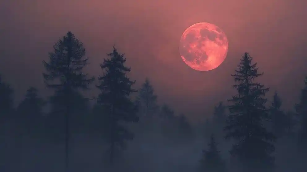 Image from Radio Sancti Spíritus: 🌖 *Luna de fresa este miércoles 11 de junio.* 🗓️ Este es un evento...
