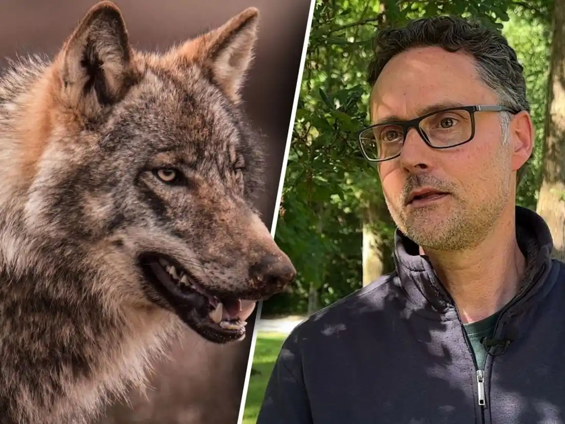 Omroep Gelderland post