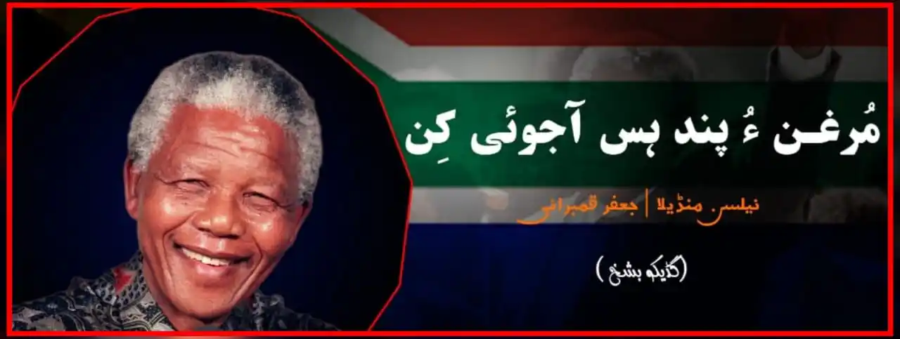 Image from The Baloch Raaj Post: *مرغن ءُ پند اس آجوئی کن* *خودنوشت– نیلسن منڈیلا جاچ: جعفر قمبرانی* ...
