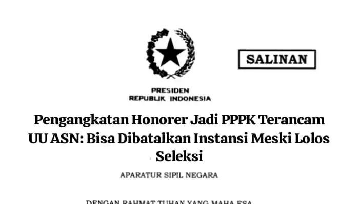 Image from INFO RESMI CPNS & PPPK 2024/2025: *Pengangkatan Honorer Jadi PPPK Terancam UU ASN: Dibatalkan Instansi M...