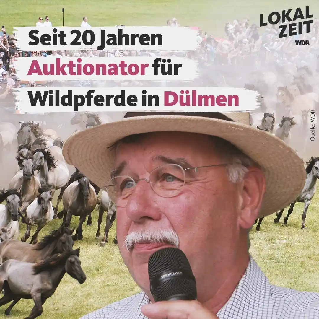 Image from WDR Lokalzeit Münsterland - Münster Rheine Bocholt Coesfeld Warendorf: 🐴 Seit 20 Jahren fährt Volker Raulf aus Mönchengladbach zum Dülmener ...