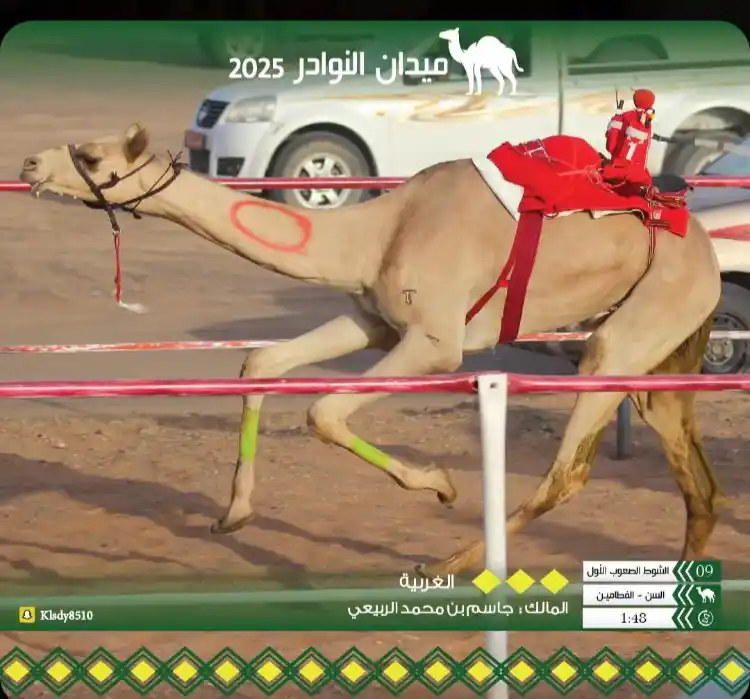 Image from المجموعة العلمية المتقدمة: *تألق انتاج الغربي المختبر بعير المجموعة العلمية المتقدمة في ميدان الن...