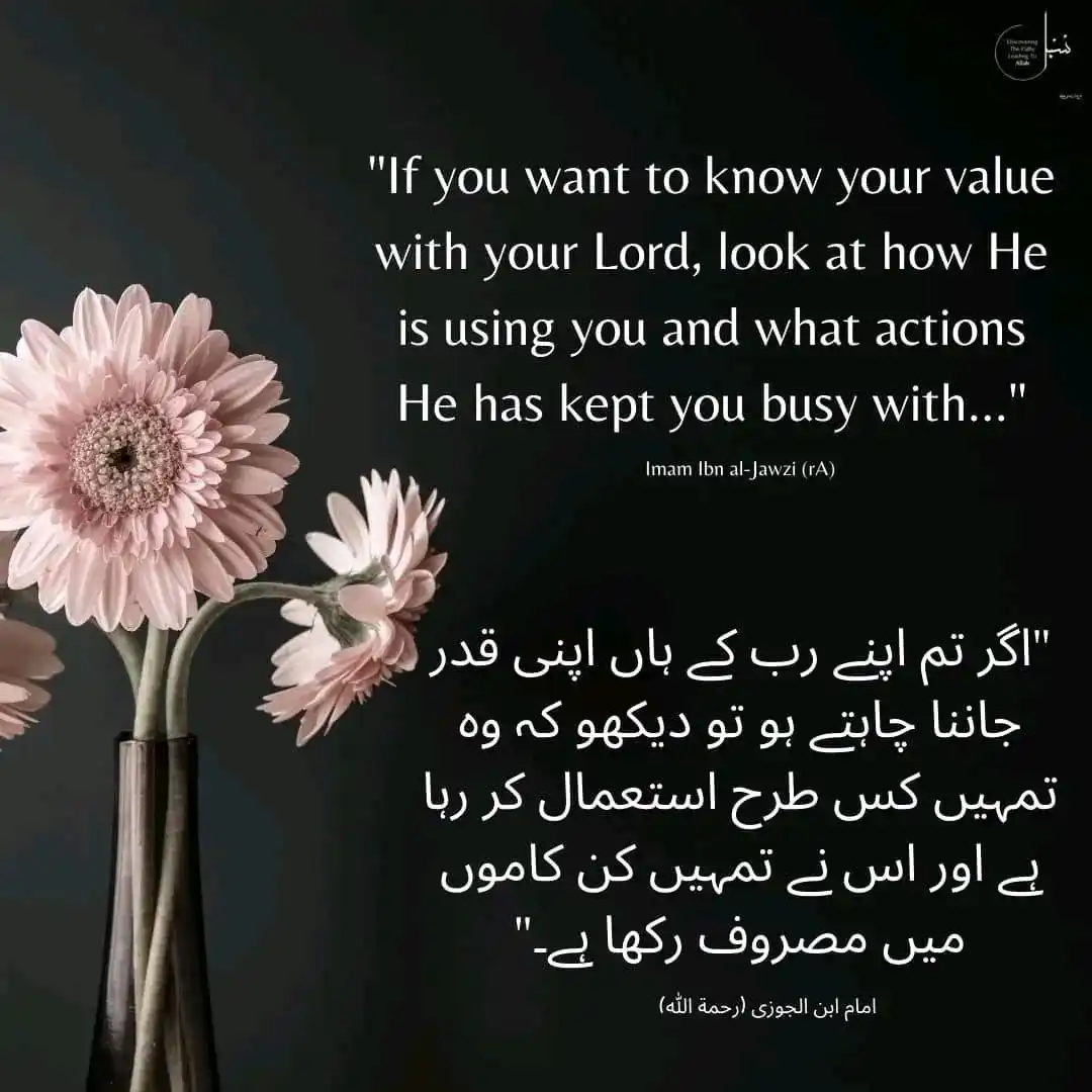 Image from رب سے جڑنے کا سفر: *`"تمہارا مقام وہی ہے جہاں اللہ نے تمہیں مصروف رکھا ہے"`* اگر تم یہ ج...