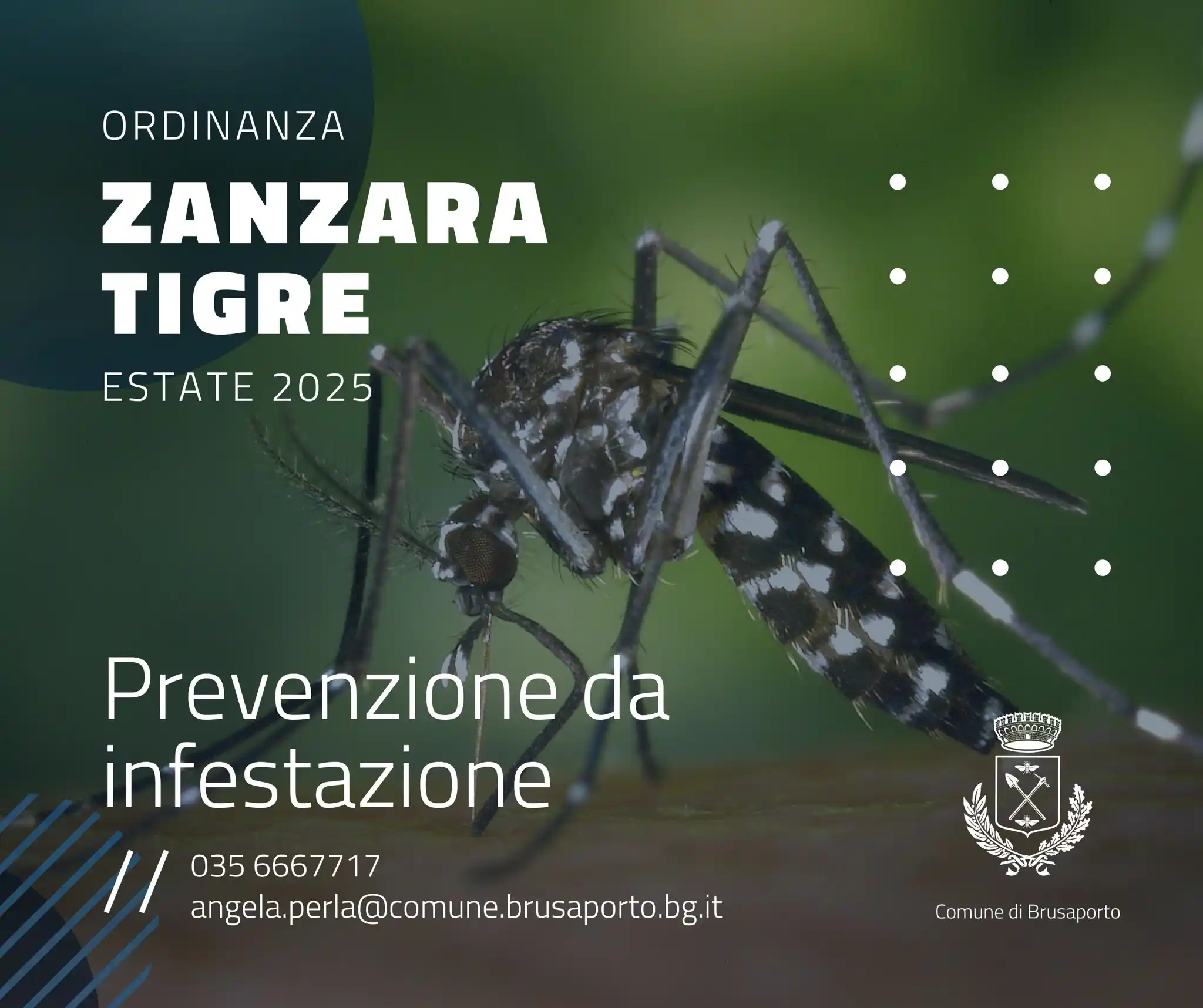 Image from Comune di Brusaporto: 🦟 ZANZARA TIGRE  Il Sindaco Maria Cristina Galizzi ha emesso un’ordin...