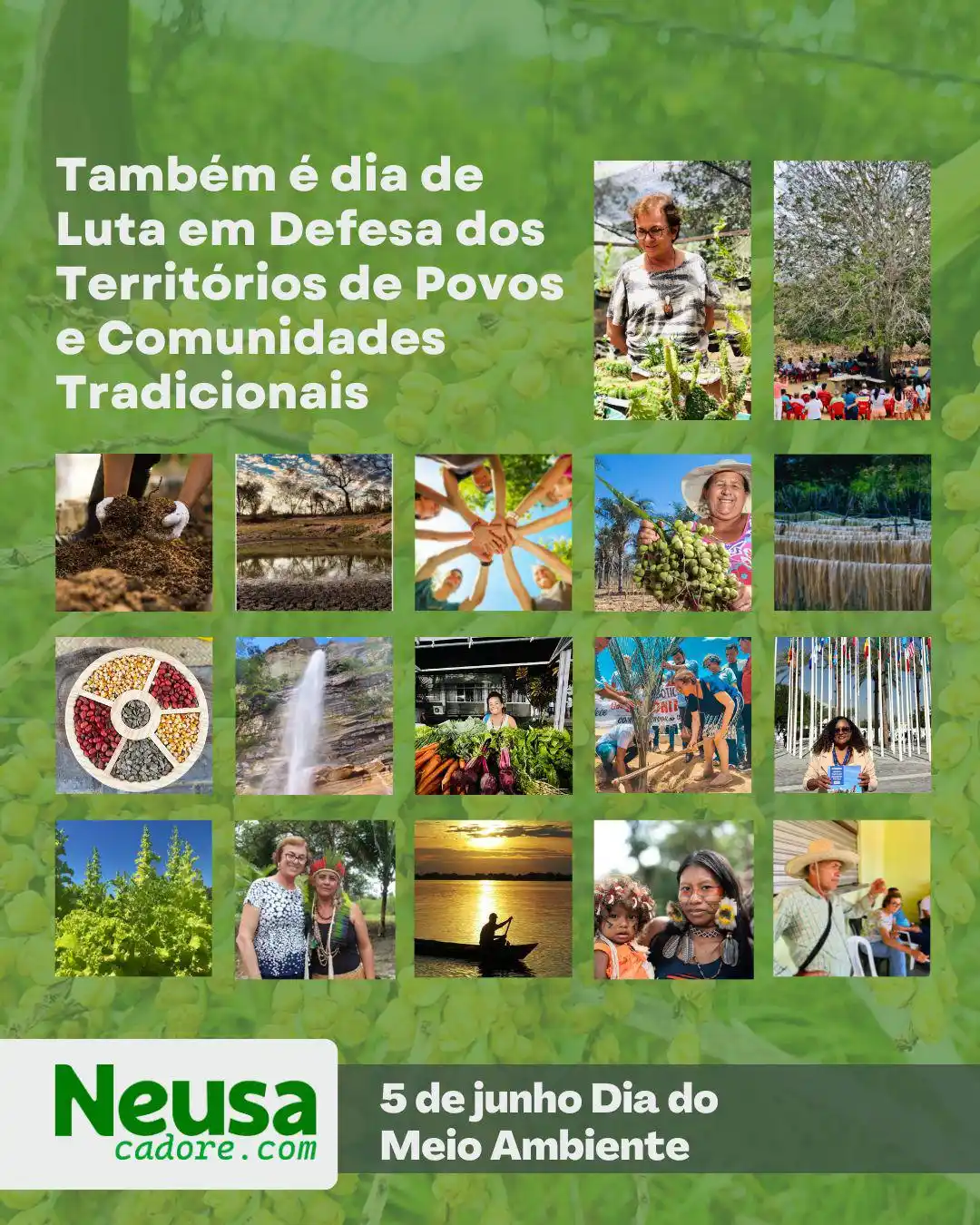 Image from Neusa Cadore | Secretária de Mulheres da Bahia: 🌿 **5 de junho – Dia do Meio Ambiente** Hoje é um dia de celebração,...