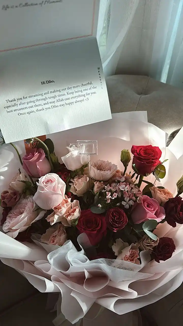 Dibo 🪄🌺♥️🎀 post