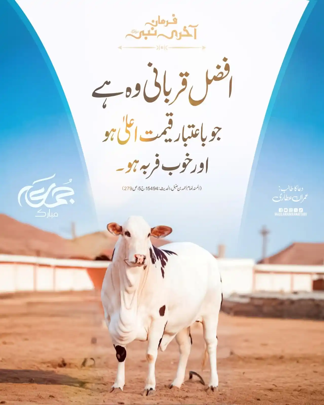 Image from Islam Forever: افضل قربانی کونسی ہے؟ جمعہ مبارک <a class="text-blue-500 hover:underl...
