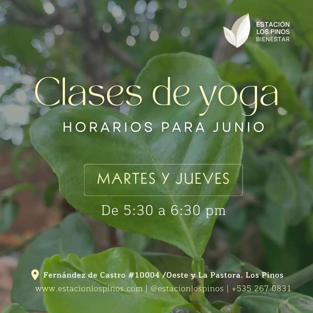 Image from Estación Los Pinos: Continuamos este mes con ciclo de clases para trabajar la flexibilidad...