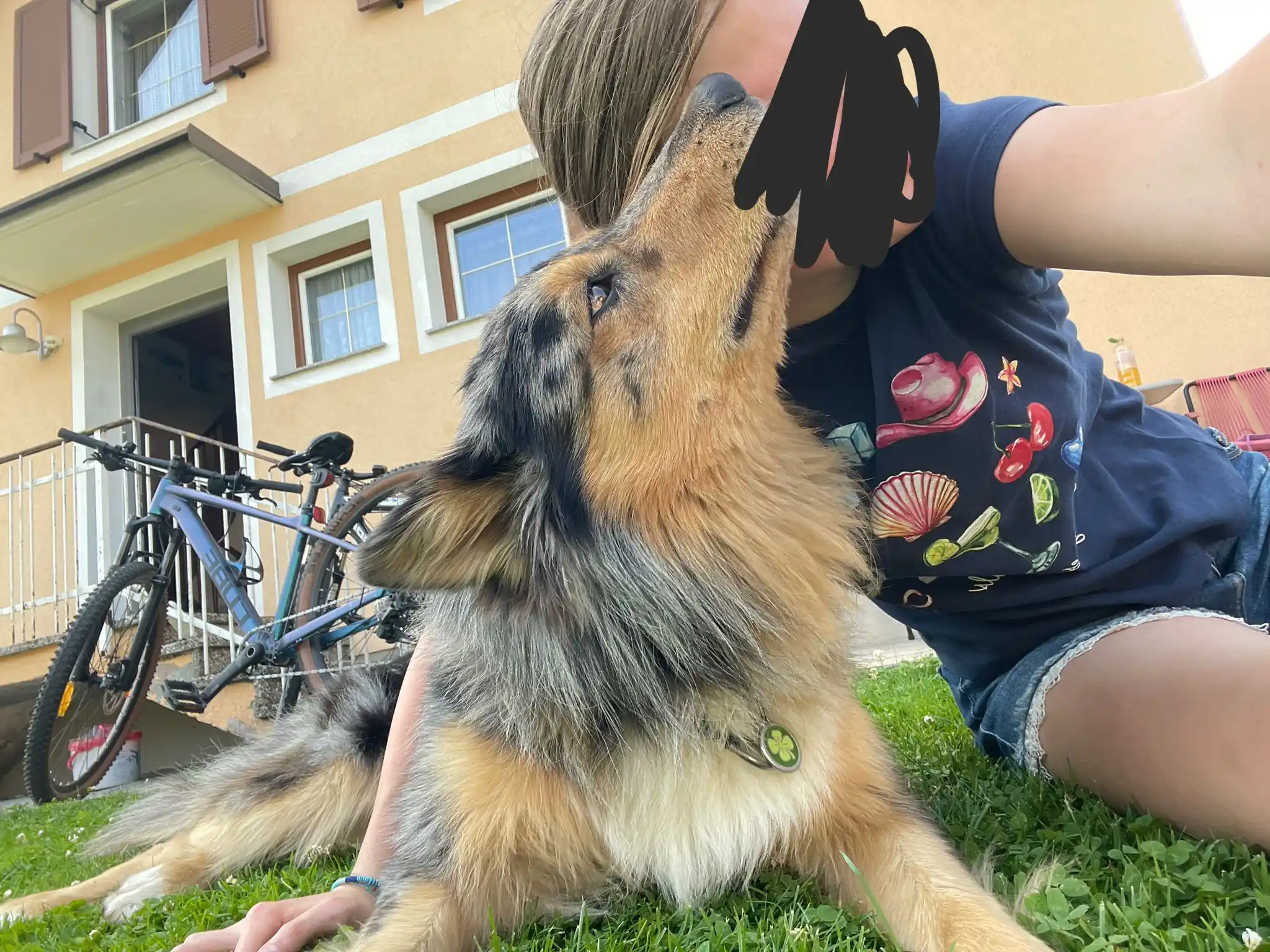 Image from 🐹🫶🏻Meine Meerschweinchen 🐹 Welt💞: Da war ma beim Opa 🫶🏻❣️...