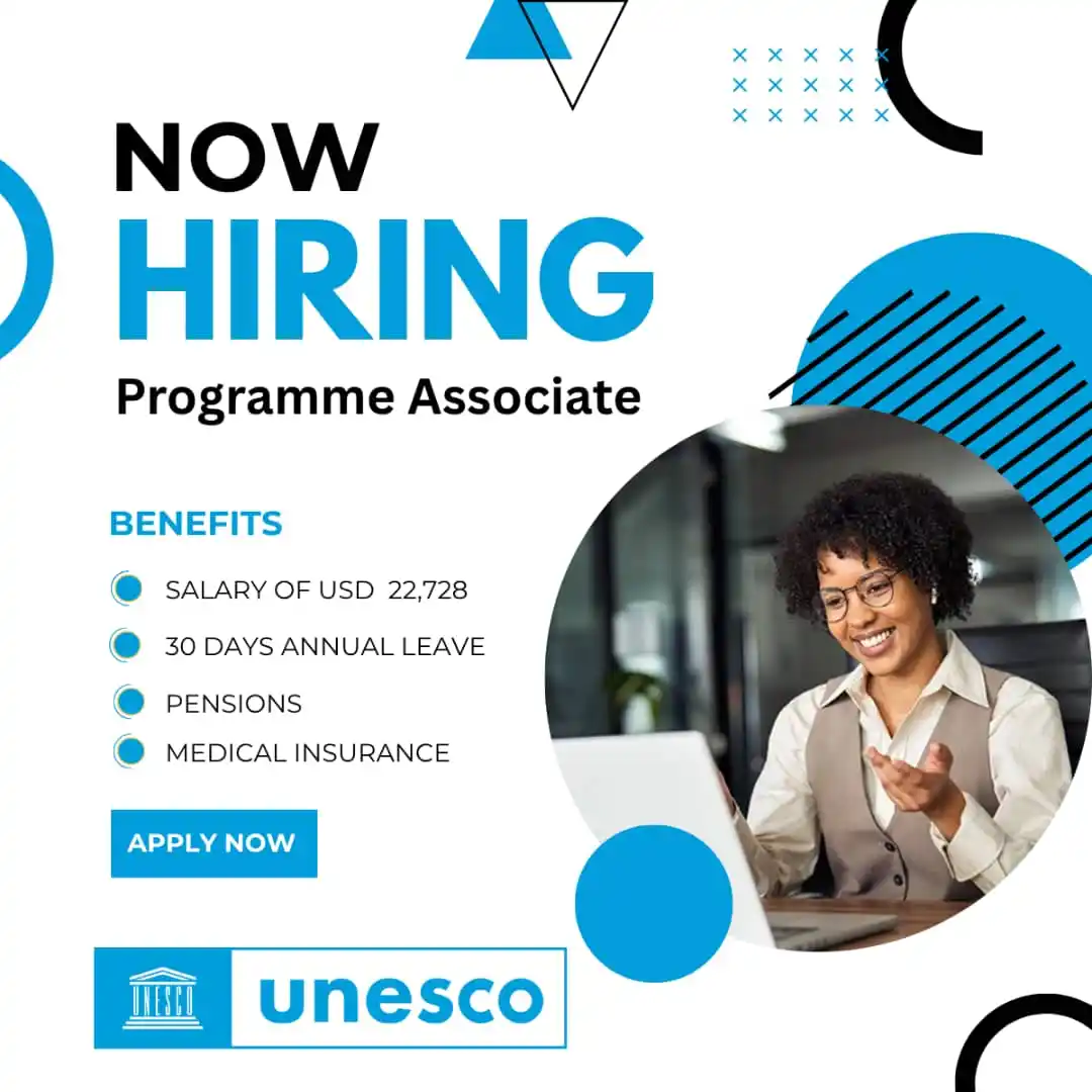 Image from UN Jobs: ๐๐ง๐ญ๐ซ๐ฒ ๐๐๐ฏ๐๐ฅ: ๐๐ซ๐จ๐๐ฎ๐ซ๐๐ฆ๐๐ง๐ญ ๐๐ฌ๐ฌ๐จ๐๐ข๐๐ญ๐ ๐๐๏ฟฝ...