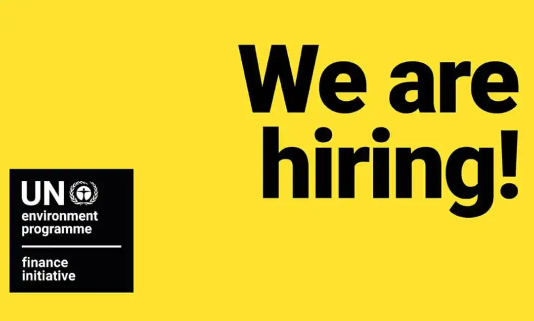 Image from UN Jobs: ๐๐ฑ๐๐ข๐ญ๐ข๐ง๐ ๐๐ฉ๐ฉ๐จ๐ซ๐ญ๐ฎ๐ง๐ข๐ญ๐ฒ: ๐๐จ๐ข๐ง ๐๐๐๐ ๐๐ฌ ๐๐ง ๏ฟฝ...
