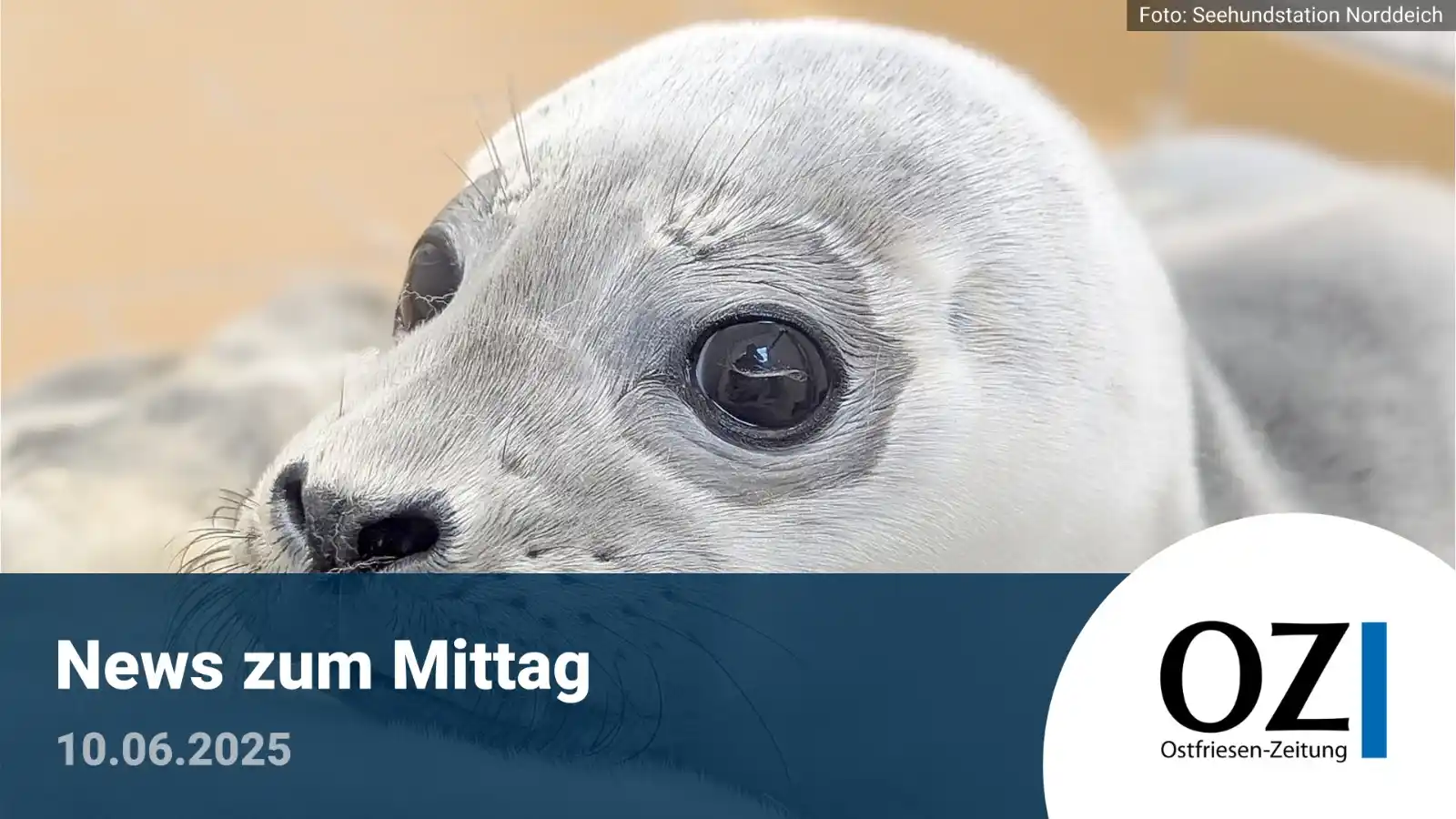 Image from Ostfriesen-Zeitung: Hi, liebe Leserinnen und Leser 🌷 Es ist schon wieder Mittagszeit – u...