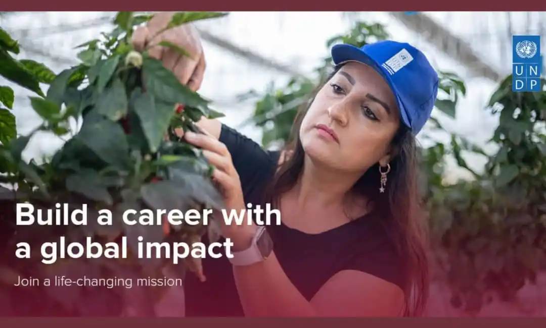 Image from UN Jobs: 𝐇𝐨𝐦𝐞-𝐁𝐚𝐬𝐞𝐝 𝐎𝐩𝐩𝐨𝐫𝐭𝐮𝐧𝐢𝐭𝐲: 𝐉𝐨𝐢𝐧 𝐔𝐍𝐃𝐏 𝐚𝐬 𝐚 ...