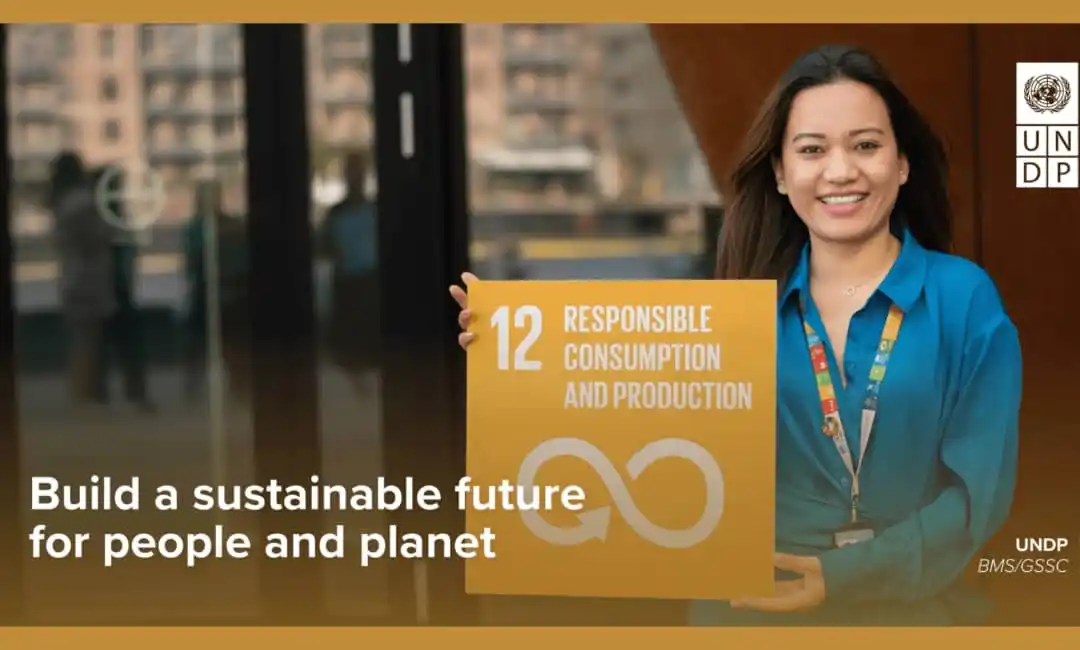 Image from UN Jobs: ๐๐ผ๐บ๐ฒ-๐๐ฎ๐๐ฒ๐ฑ ๐ฃ๐ฟ๐ผ๐ท๐ฒ๐ฐ๐ ๐ ๐ฎ๐ป๐ฎ๐ด๐ฒ๐บ๐ฒ๐ป๐ ๐ฎ๐ป๐ฑ ๐๐ผ๐บ๏ฟฝ...