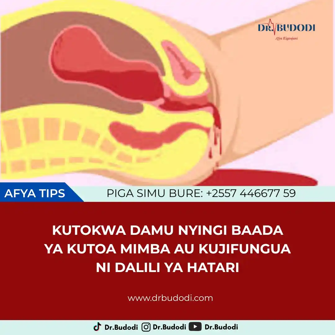 Dr. BUDODI post