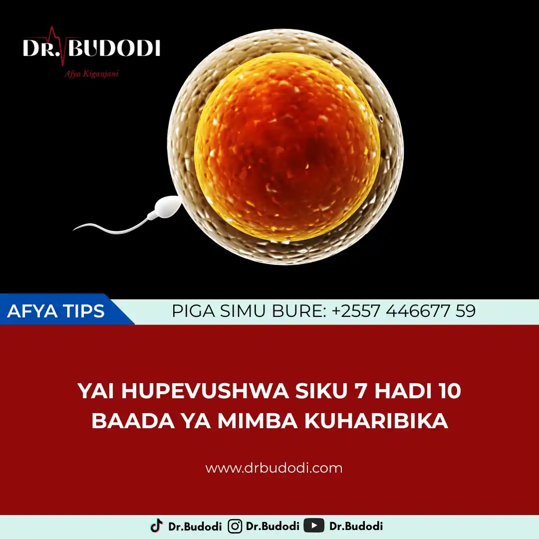 Dr. BUDODI post