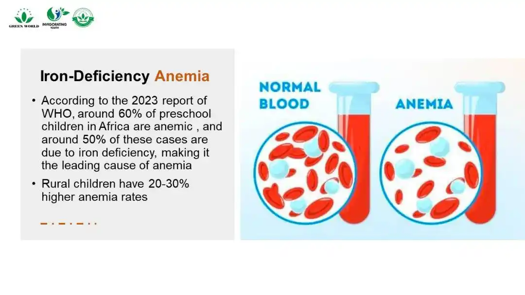 Image from Green World Online Store : Iron-Deficiency Anemia : > According to the 2023 report of WHO, around...