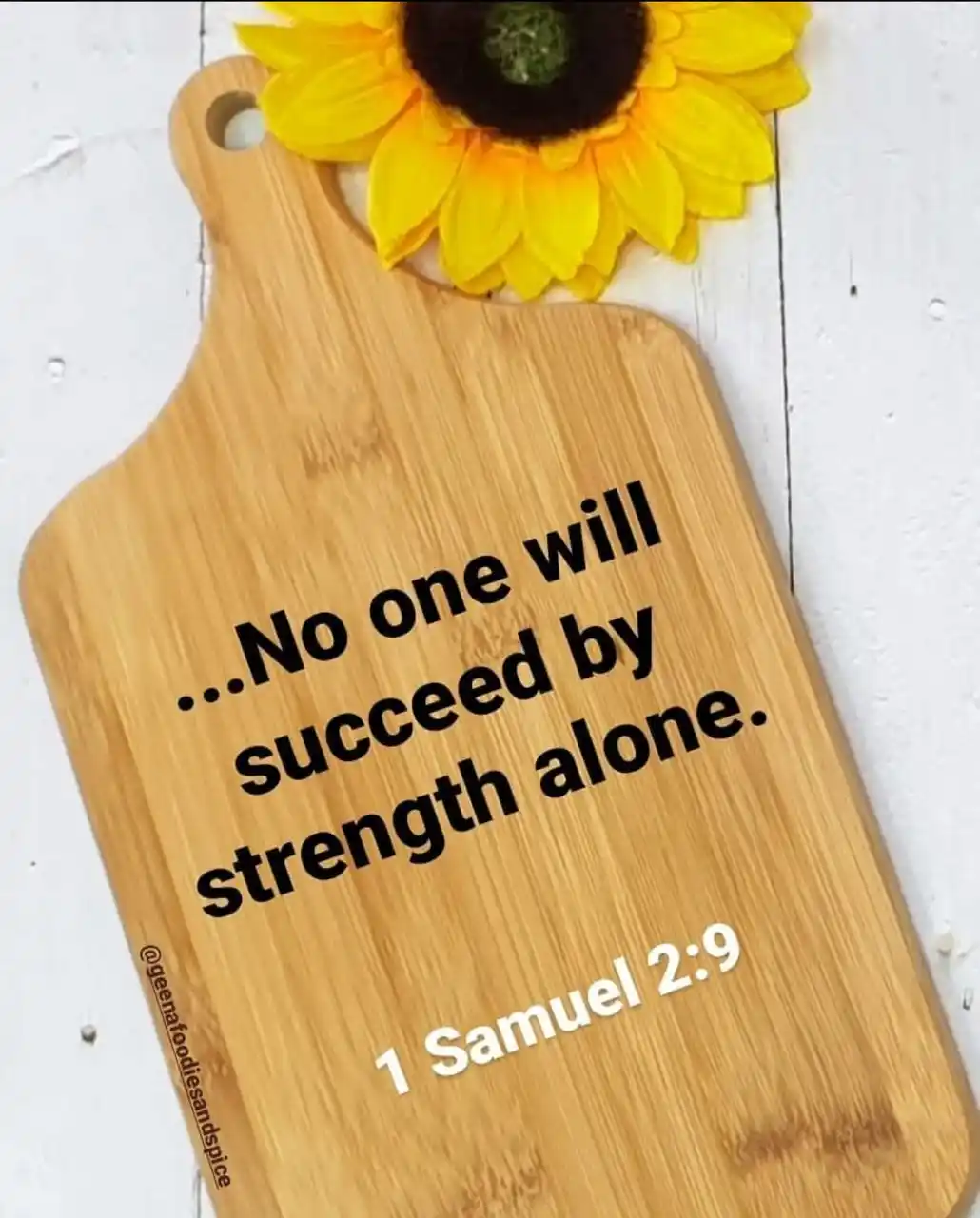 Image from Foodies And Spice : Jehovah desires us to succeed and excel, he has made all forces to aid...