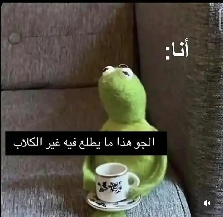 ⤷𝐌𝐞𝐦𝐬 || مِيمز👻🦧⃟𔘜)) post