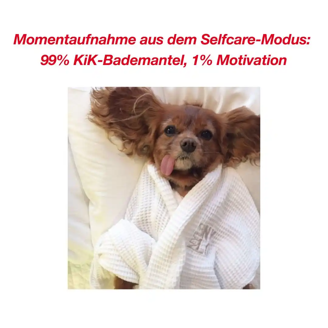 Image from KiK Textilien und Non-Food GmbH: 🐶 *Meme-Mittwoch: Team Selfcare, wo seid ihr?* 🛁🛋️ Perfekt eingeku...