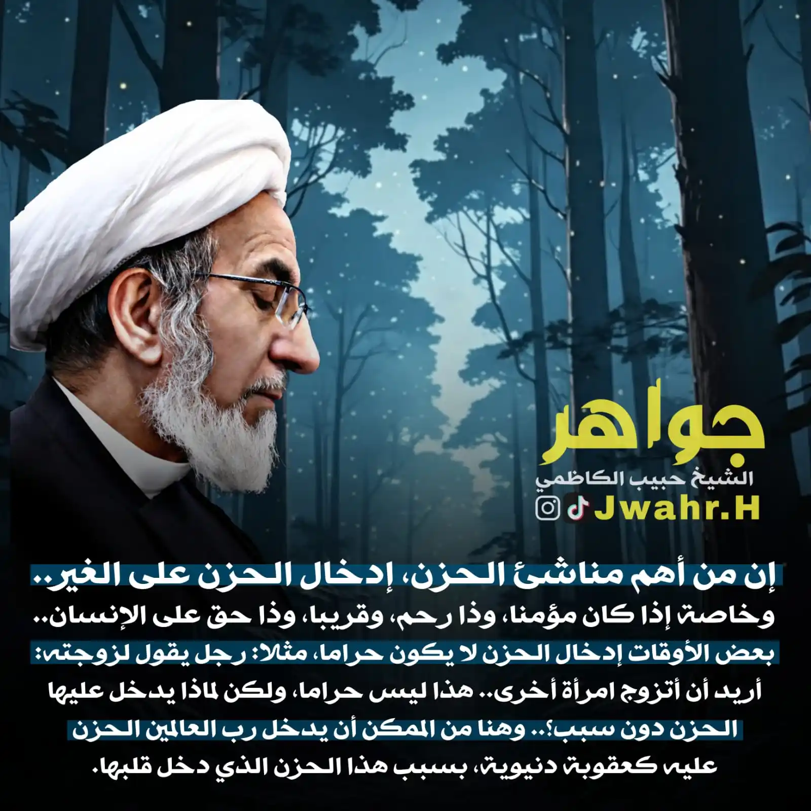 Image from الشيخ حبيب الكاظمي: *‼️ من أهم مناشئ الحزن..!* سماحة <a class="text-blue-500 hover:underli...