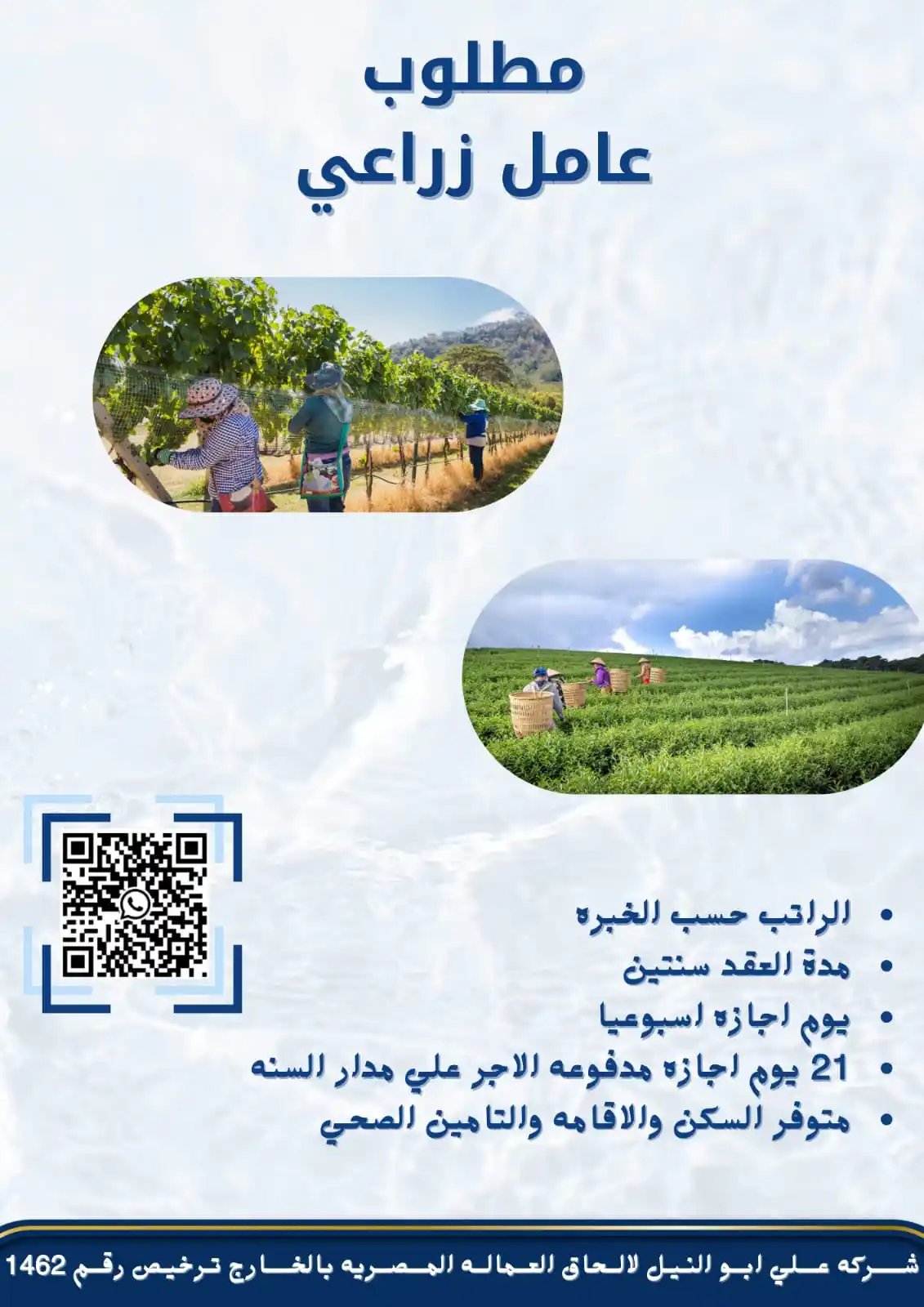 Image from شركة علي أبو النيل لألحاق العماله ترخيص 1462: مطـــــــــلوب للتعــاقد فــي الســــــــــــعوديه <a class="text-blu...