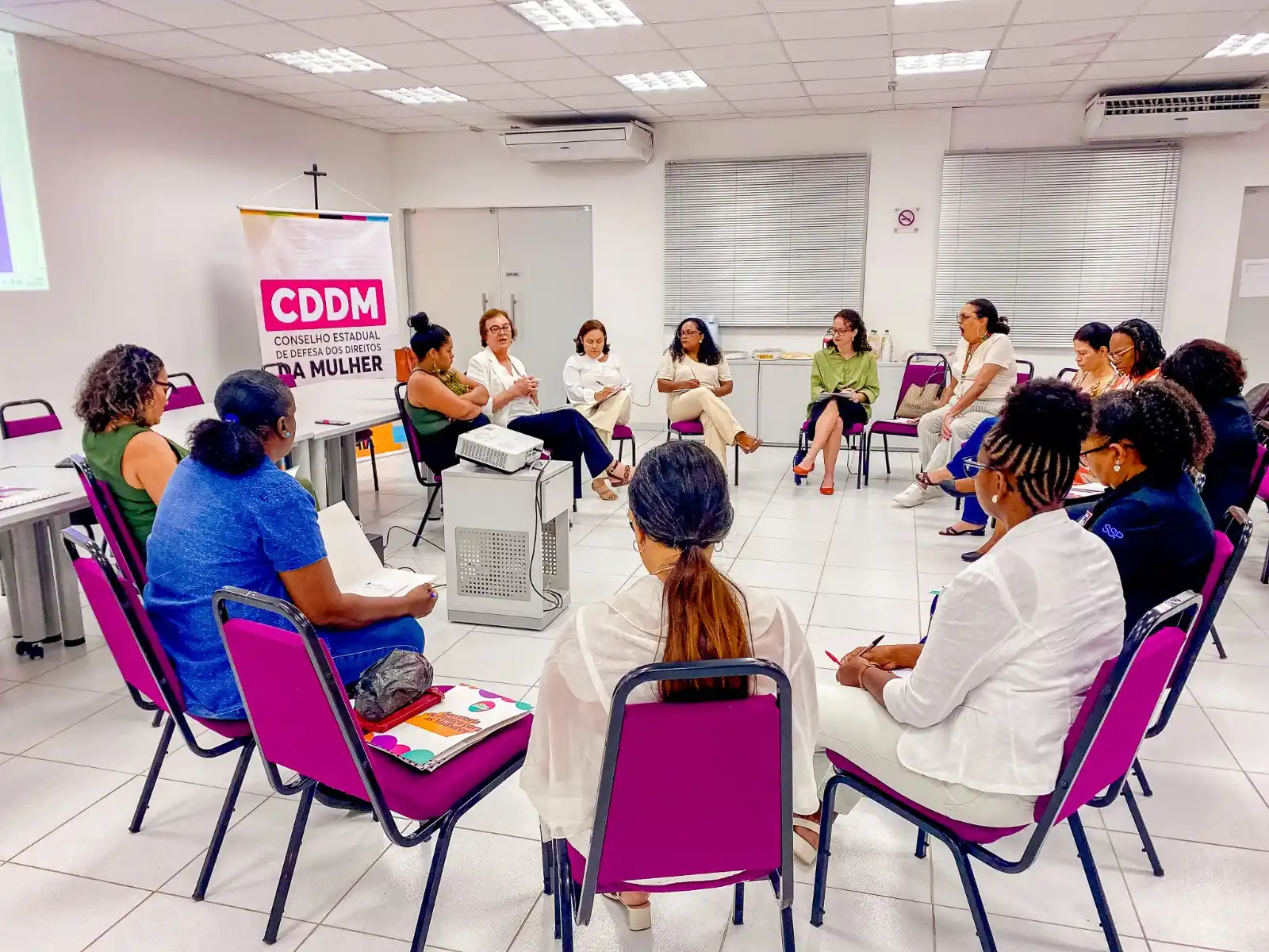 Image from Neusa Cadore | Secretária de Mulheres da Bahia: *Mulheres na pauta! Neusa Cadore participa de reunião do CDDM sobre Co...