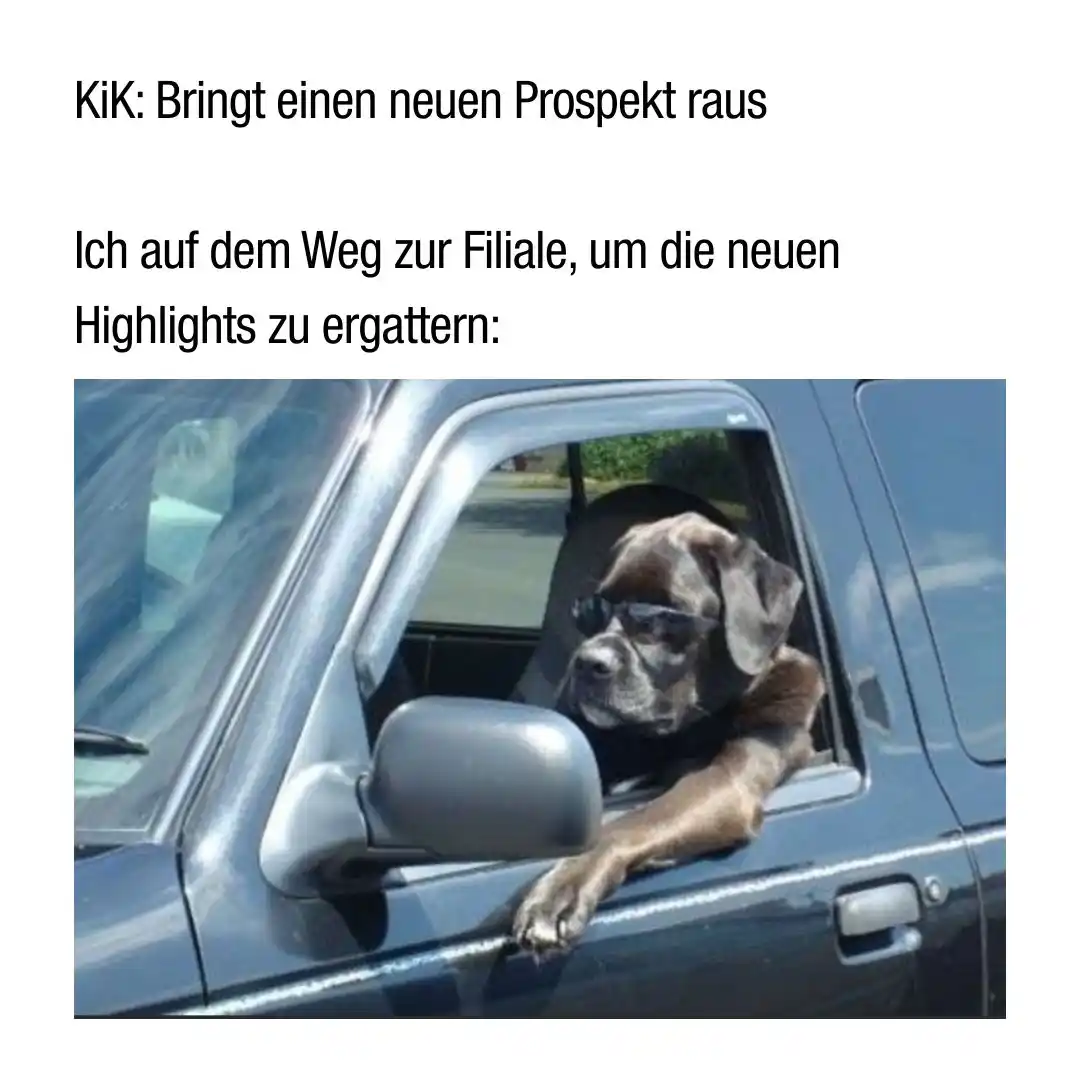 Image from KiK Textilien und Non-Food GmbH: 🗞️ *Neuer Prospekt? Neue Mission.*🐶 Wenn *KiK* einen *neuen Prospek...