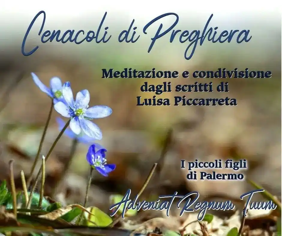 Image from Adveniat Regnum Tuum: 🔸PILLOLE DI DIVINA VOLONTÀ 🔅Tutti i MERCOLEDÌ Ore 16:30 alla Miss...