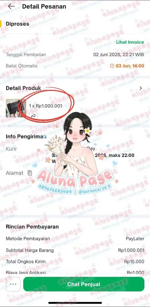Image from Aluna's proof: tiktok paylater 1jt via check out...