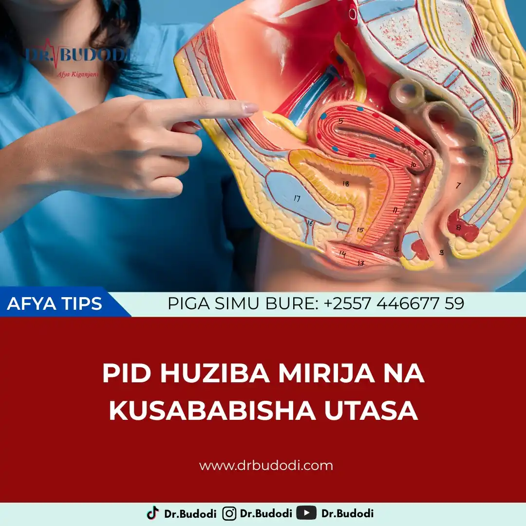 Dr. BUDODI post