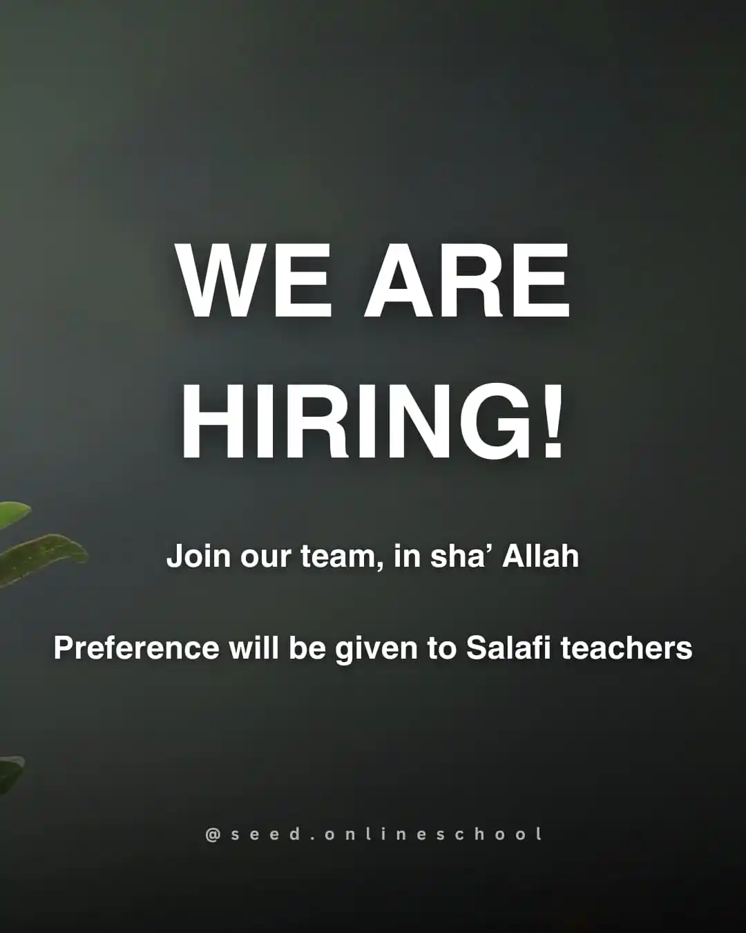 Image from Sabeelun-Najaah: 📢 *WE ARE HIRING!* Alhamdulillah, Seed Online School is growing, and ...