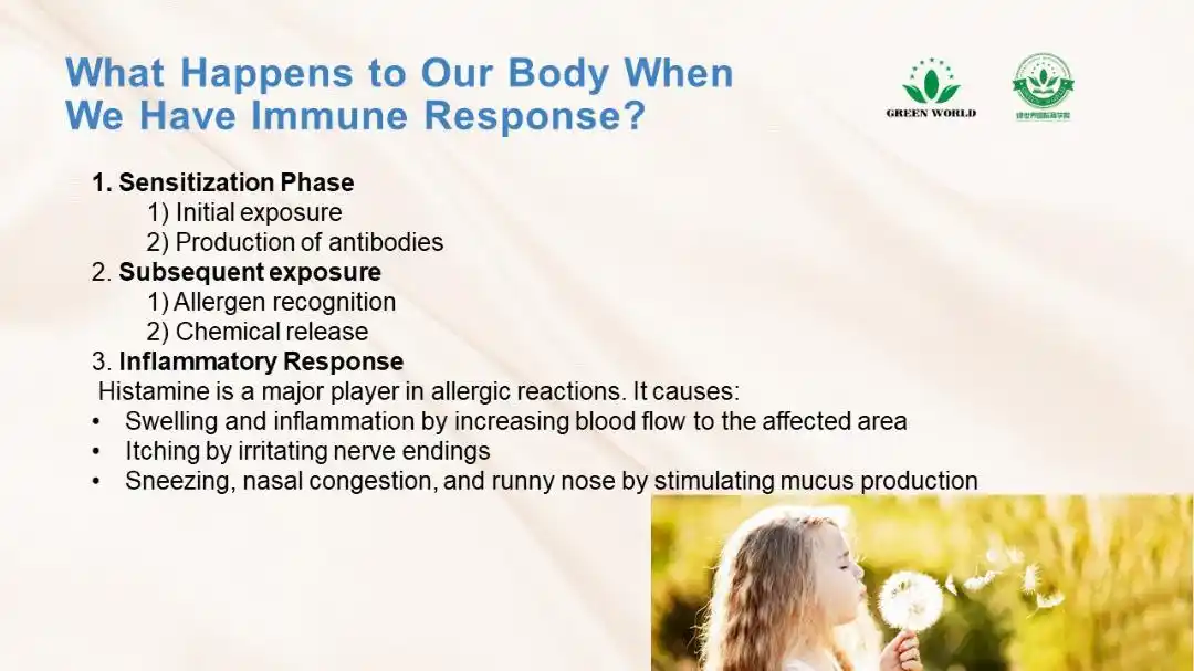 Image from Green World Online Store : What happens to our body when we have Immune Response : 1. Sensitizati...