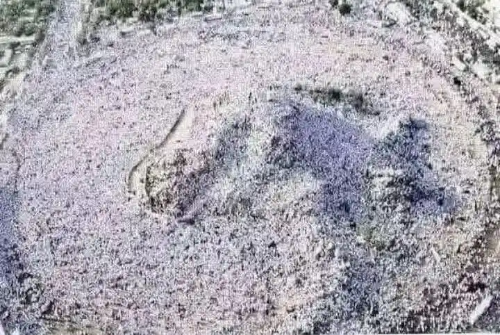 Haramain Production  post